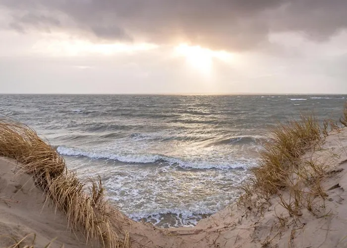 Luett Nest Foehr